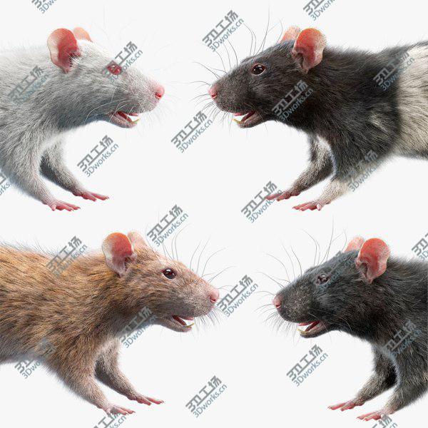 images/goods_img/20210312/Rats Collection 3D model/1.jpg